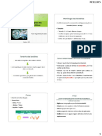 Aula+4+-+Microbiologia+Geral PDF