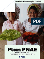 Manual Plan PNAE