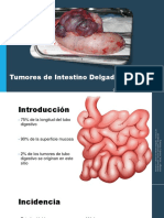Tumores de Intestino Delgado 2019