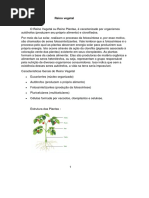 Reino Vegetal e Reino Vegetal