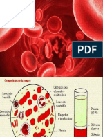 Clase Teorica Metabolismo de Porfirinas y Hemo Usmp