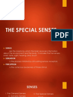 The Special Senses