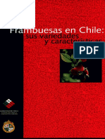 Frambuesas en Chile Sus Variedades y Caracteristicas