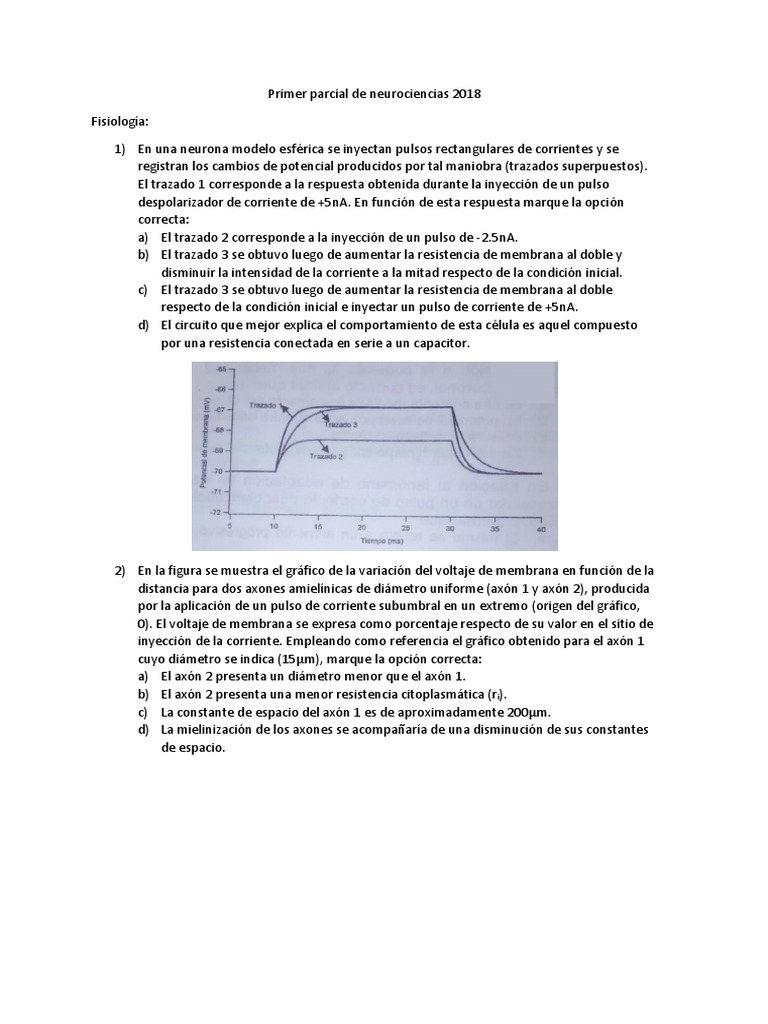Primer Parcial Neuro 2018 | PDF | Sinapsis | Potencial de acción
