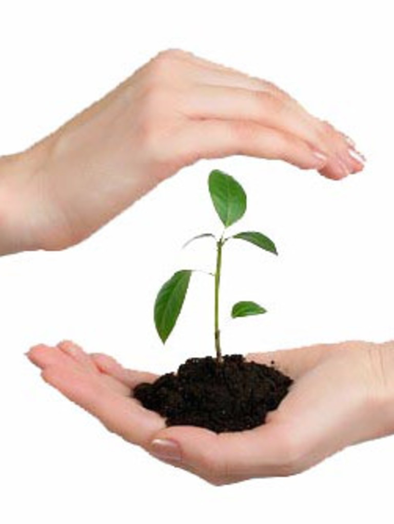 Plant protection applications in organic agriculture and farmers