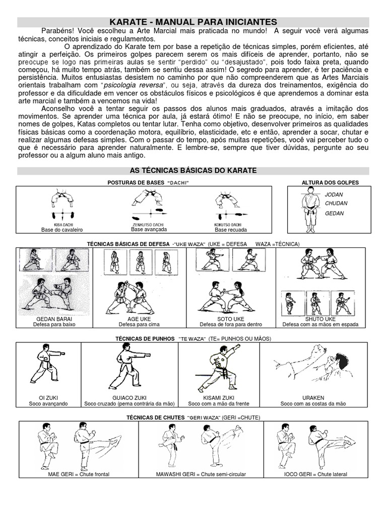 Uma Introdução Completa ao Karate Shotokan: Técnicas, Conceitos ...