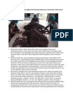 Peran Mikroorganisme dalam Fermentasi Kakao