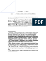 DocGo.Net-CANDOMBLÉ - O RITUAL ÌGBÁ - A UTILIZAÇÃO DA CABAÇA RITUALÍSTICA.pdf