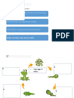 Life Cycle Worksheet