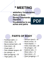 Meeting: Midwifery Vocabularies Parts of Body Giving Commands and Requests Vocabularies To Express Aches and Pains