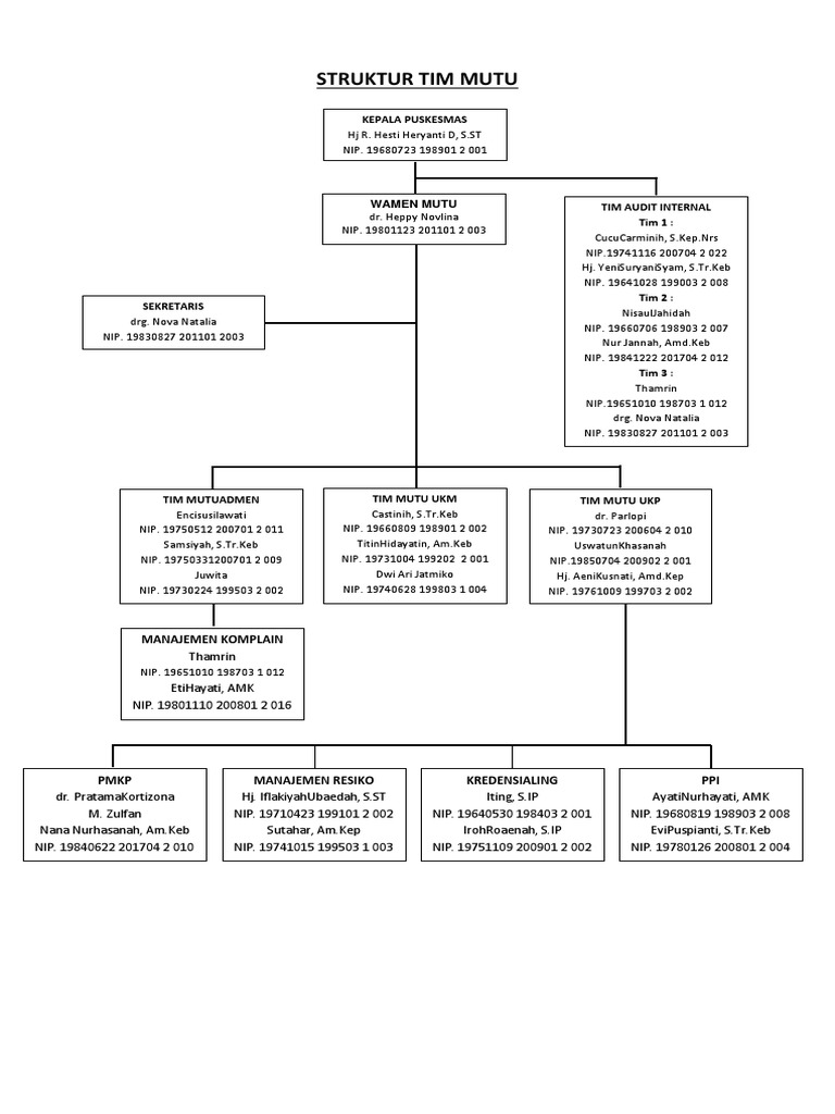 Struktur Tim Mutu Puskesmas | PDF