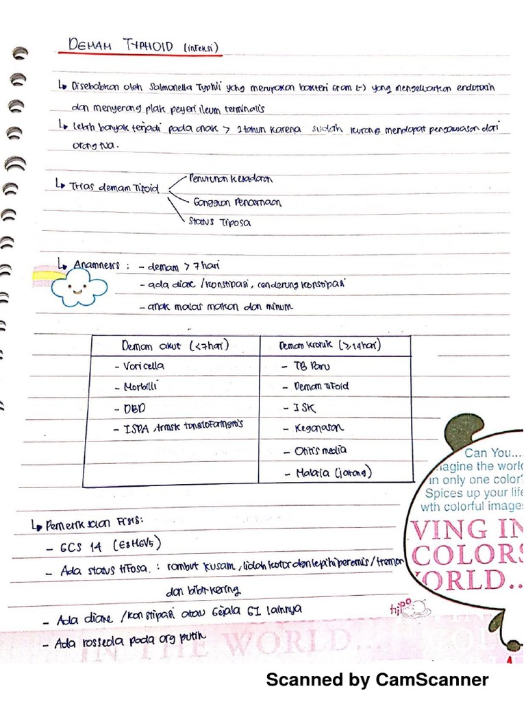 Nqnotes | PDF
