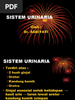 Download Sistem Urinaria by La Ode Rinaldi SN42061759 doc pdf