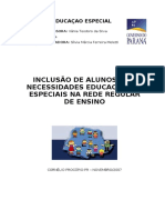 Orientaçoes para Inclusao PDF