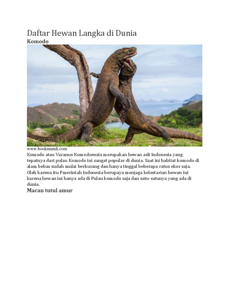 Daftar Hewan Langka Di Dunia