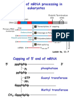Eukaryotic RNA Processing 28 Jan 2014