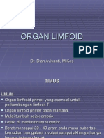 Organ Limfoid