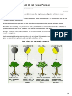 Plantando pelas fases da lua