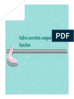 Saliva secretion composition and function