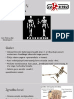 Anatomija Jure Penica