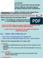 Repair: A Stem Cell Is A Cell That Has The Ability To Divide For Indefinite Periods