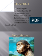 Kel 3 Meganthropus