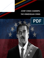 (Document Title) : Joint Crisis Cabinets: The Venezuelan Crisis