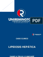 Lipidosis Hepatica