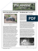 BEKI Newsletter - Vol. 2 Issue 4 PDF
