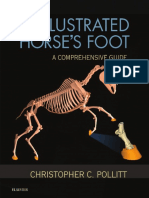 The Illustrated Horse S Foot PDF