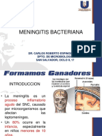 Tema 2 Meningitisbacteriana
