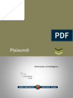 Plaiaundi PDF