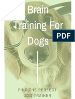 Dog Training Advice & Home Brain Training Secret