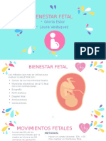 Monitoreo Fetal 1