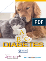 ABC Diabetes.pdf