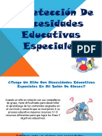 Necesidades Educativas Especiales