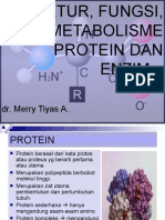 Download Struktur Fungsi Protein Dan Enzim by La Ode Rinaldi SN42067952 doc pdf