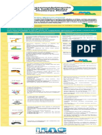 Infografico habilidades