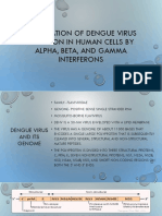 modulation of dv infection by interferons ppt