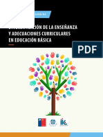 Diversificación de La Enseñanza Y Adecuaciones Curriculares en Educación Básica