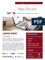 Neo Struct: ¿Quienes Somos?