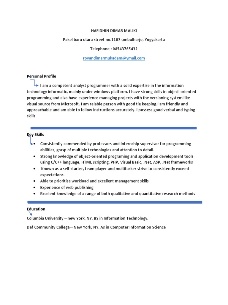 Competent Analyst Programmer Profile | PDF