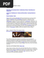 Fungi Characteristics and Classification | PDF | Fungus | Organisms