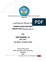 Laporan Praktik Lk1pengolahan Lahan Melon Desymauliana Atph1