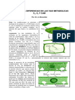 Fotosintesis C3,C4 y CAM.pdf