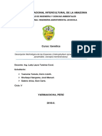 Informe Final de Genetica