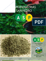 San Pedro Company
