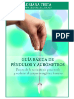 libro sobre pendulo.pdf