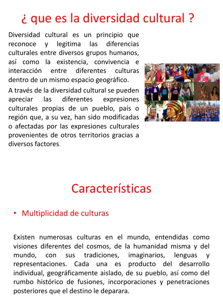 Definición y características de diversidad cultural | PDF | Diversidad ...
