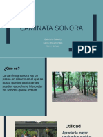 Caminata Sonora